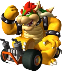 MKDSBowser