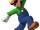 Luigi.png