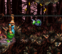 DKC3 Screenshot Strick-Trick