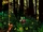 DKC Screenshot Wahnsinns-Wald 7.png