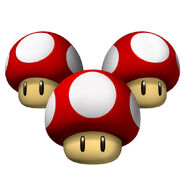 Triple Mushroom