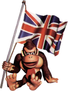 Donkey Kong Country