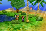 Paper Mario