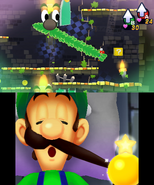 Étoile d'Or tire sur la moustache de Luigi. Mario se fait prendre dans la liane.