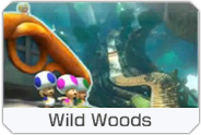 The Wild Woods icon