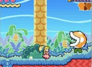 Super Princess Peach screenshot