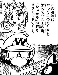 Princesa Shokora Super Mario Wiki Fandom