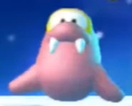 A Fliprus facing straight.