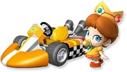 Mario Kart Wii
