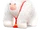 Rabbid Kong