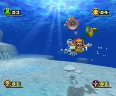 Manta Rings Bloopers