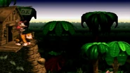 Donkey Kong Country