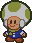 PM Sprite Toad 5