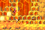DKC2GBA Screenshot Wespenfalle 3.png (24 KB)