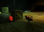 DK64 Screenshot Wunder Wald Diddy Kongs Bananenmünzen 3