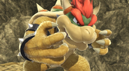 Bowser