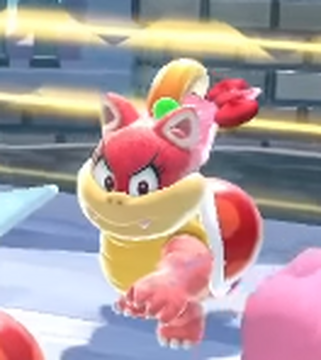 Pom pom the cat online