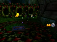 DK64 Screenshot Wunder Wald Donkey Kong Bananen 7.png (76 KB) Donkey Kong 64