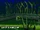 Luigi's Mansion (track)