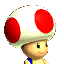 MKDD Toad icon