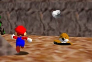 Taupi Taupe 64.jpg (44 kio) Une Topi Taupe dans Super Mario 64