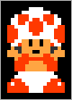 Toad