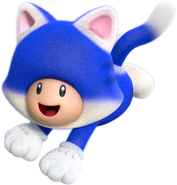 Cat Toad SM3DW