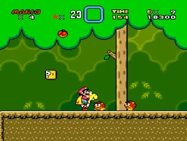 Forest of Illusion 1