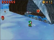 Yoshi at the base of Cool, Cool Mountain.