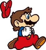 Super Mario Bros. is the first game to standardize Mario's general appearance, such as the look of his hair, his eyes, and his hat.