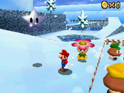 SM64DS SSS SL.png