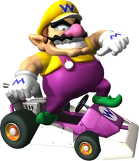 MKDSWario