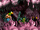 DKC3 Screenshot Höhlen-Humbug 9.png