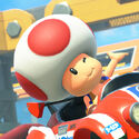 Toad