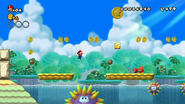 En New Super Mario Bros. Wii