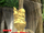 Mr. Wario's Goldene Statue