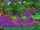 Soda Jungle