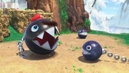 Chain Chomp Mario with some Chain Chomp.