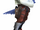 SSBB Sprite Falco.png