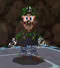 Vanish Luigi in Hazy Maze Cave.