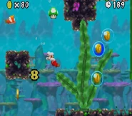 Mario is awarded a 1-up Mushroom.