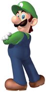 Luigi in New Super Mario Bros. 2