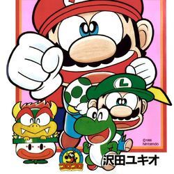 Nintendo DSi - Super Mario Wiki, the Mario encyclopedia
