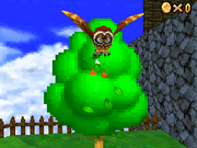 Hoot's appearance in Super Mario 64 DS
