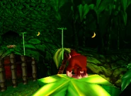 DK64 Screenshot Tropen Trubel Donkey Kong Bananen 1.png (75 KB) Donkey Kong 64