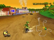The course in Mario Kart Wii