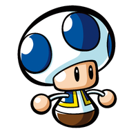 Mini Toad MLM artwork