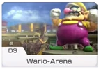 MK8 Screenshot Wario-Arena Icon