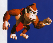 Donkey Kong Country