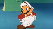 Fire Mario's appearance in the cartoons.